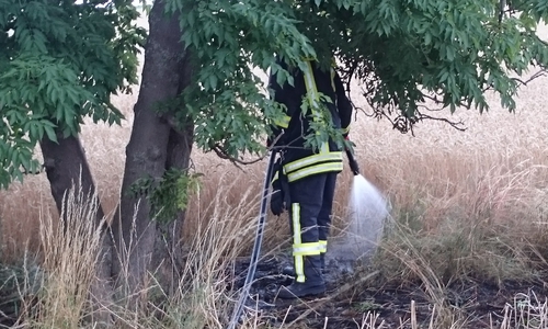 Die Brandfläche wird gründlich abgelöscht. Foto: Feuerwehr Winnigstedt 