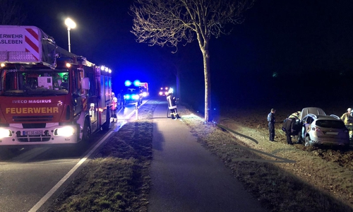 Die Einsatzkräfte mussten sich unter anderem um ausgelaufene Betriebsstoffe kümmern. Fotos: Feuerwehr Grasleben