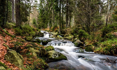 Der Harz.
Symbolbild: pixabay
