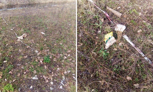 Die Fotos der Gemeinde Meine dokumentieren den Zustand der Blühwiese, bevor sie entfernt wurde. Fotos: Gemeinde Meine