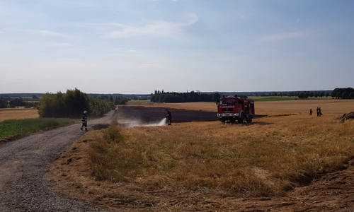 Am Nachmittag geriet ein Feld in der Nähe von Lehre in Brand. Foto: Gemeindefeuerwehr Lehre
