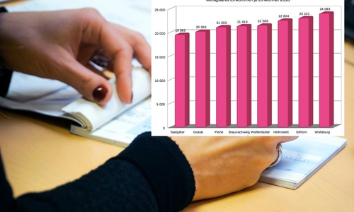 Die pro Kopf Einkommen in unserer Region unterscheiden sich deutlich. Symbolbild: pixabay / Diagramm: Sandra Zecchino