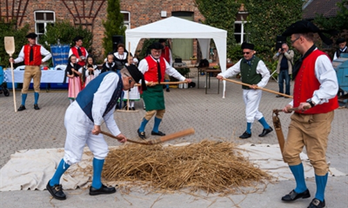 Getreide traditionell mit dem Dreschflegel dreschen. Foto: Stadtmuseum Schloss Wolfsburg/Peter Riewaldt.