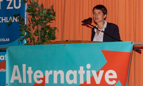 Frauke Petry sprach am Samstag im Lindenhof über das Parteiprogramm der Alternative für Deutschland und stellte sich anschließend einigen Fragen der Besucher. Foto: Alec Pein