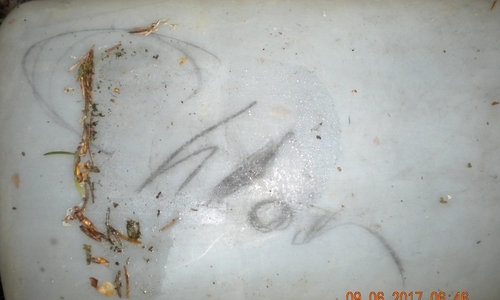 Kanister mit der Aufschrift "Chlor". Foto: Polizei