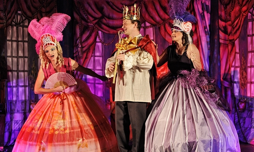 Am Donnerstag dem 26. November 2015 spielte das Musikforum Niedersachsen e.V. in der Landesmusikakademie Wolfenbüttel seine aktuelle Produktion "Aschenputtel oder Rossini kocht eine Oper". Foto: privat