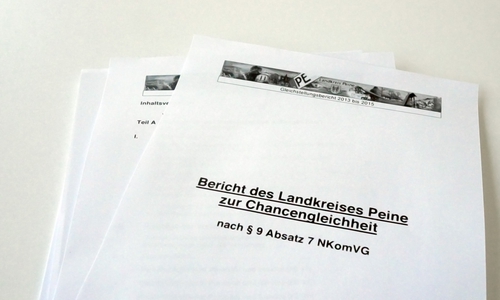 Der Gleichstellungsbericht soll einen Überblick über die aktuellen Maßnahmen geben. Foto: Alexander Panknin