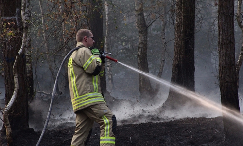 Nach 24 Stunden können die Feuerwehren abbauen. Foto: Aygün Erarslan
Feuerwehrpressesprecher Süd Kreisfeuerwehr HE
