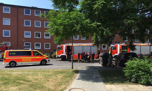 Die Berufsfeuerwehr Salzgitter war im Einsatz. Fotos: Eva Sorembik