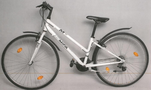 Wem gehört dieses Damenrad? Foto: Polizei
