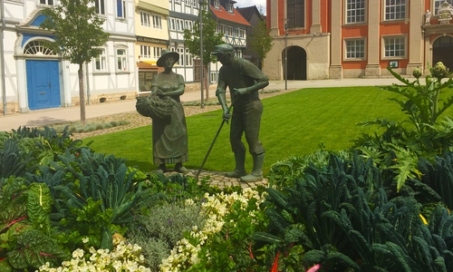 Es wächst und gedeiht vor der Trinitatiskirche. Fotos: Stadt Wolfenbüttel