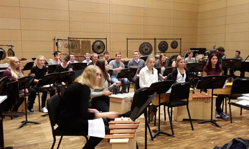 Schüler musizieren mit Profis. Foto: Gropp