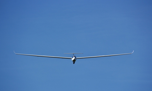 Die WM bleibt spannend für den Meiner Tassilo Bode. Symbolbild Foto: pixabay