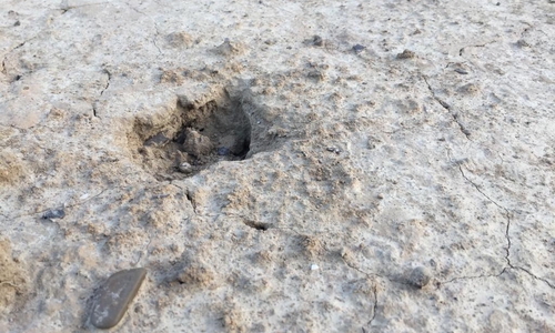 Die BIG will wissen, ob und wie das Kita-Gelände in Grußendorf belastet ist. Symbolfoto: Anke Donner 