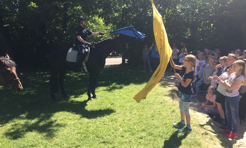 Die Polizeipferde sind nicht so leicht aus der Ruhe zu bringen. Foto: Elternverein