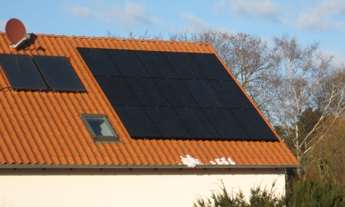 Die Stadt Braunschweig unterstützt Maßnahmen zum Klimaschutz. Symbolbild: privat