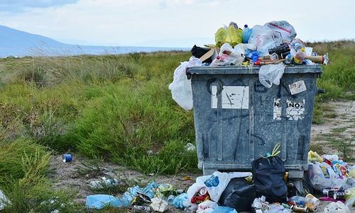 Die Grünen informieren über die Möglichkeiten zur Plastikvermeidung. Symbolbild: Pixabay