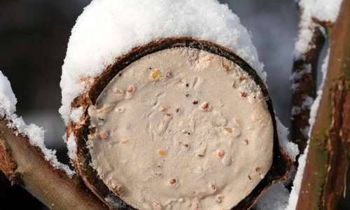Fettfutter für Vögel zur Winterszeit. Foto: NABU/Helge May
