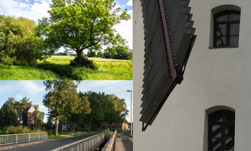 Zur Eröffnung der Foto-Ausstellung „HoWeLe“ im Rathaus Lehre am 11. Oktober um 18 Uhr mit einer Vernissage lädt die Gemeinde ein. Quelle: Gemeinde Lehre
