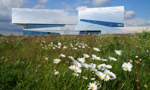 Im Sommer strahlt nicht nur die Spiegelfassade des paläon. Auch die Wiesen drumherum erstrahlen in Blütenpracht. Foto: paläon GmbH
