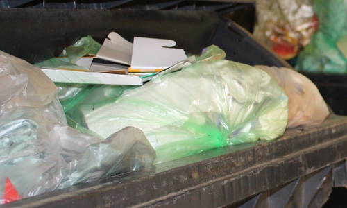 Die Müllentsorgung in der Innenstadt stellt die Verwaltung weiterhin vor Herausforderungen. Foto: Nick Wenkel