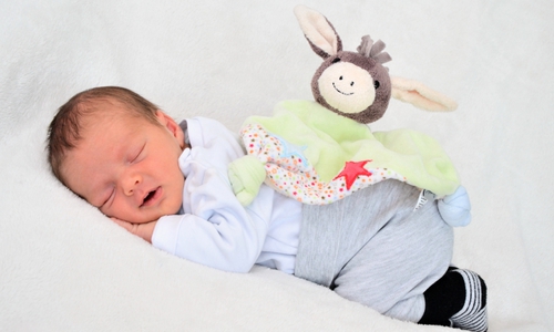 Maxime Elias, Foto: babysmile24.de