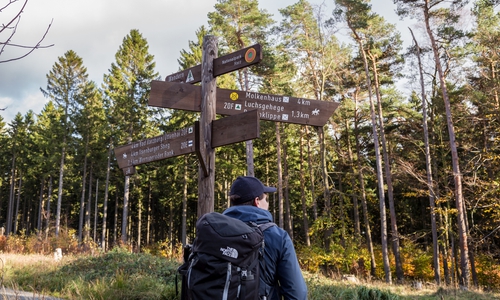 Am Wochenende 20. und 21. Oktober wird mit Wanderführer Hans Hillebrecht in zwei Tagesetappen von Osterode nach Ilsenburg gewandert. Foto: Kur- Tourismus- und Wirtschaftsbetriebe der Stadt Bad Harzburg GmbH