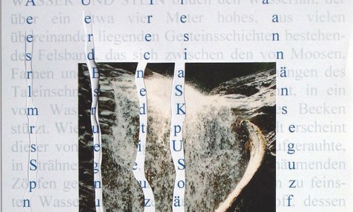 Rolf Steiner, Blüte, aus: 6 Blüten, Mappe mit 6 beschrifteten
Fotografien (Siebdruck) und 6 Textblättern, Köln 2010. Foto: HAB