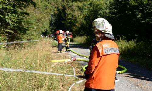 Übung der Stadtfeuerwehrbereitschaft Wolfsburg auf dem Rabenberg. Fotos: Feuerwehr Fallersleben