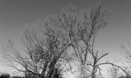 Symbolfoto: Alexander Panknin