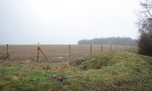 Sie ging zunächst davon aus, dass sich Fußgänger verirrt hatten... Symbolfoto: Werner Heise
