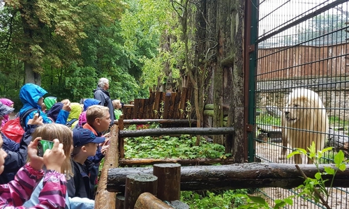 Die Ferienkinder konnten wieder allerhand erleben. Fotos: Stadtjugendpflege