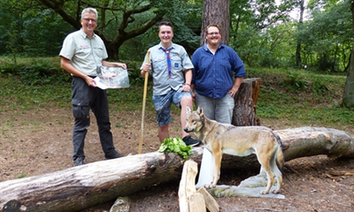 Von links: Stadtförster Dirk Schäfer, Torben Leyser und Steffen Fricke vom Stadtjugendring zusammen mit einem Wolf. Foto: Stadt Wolfsburg 