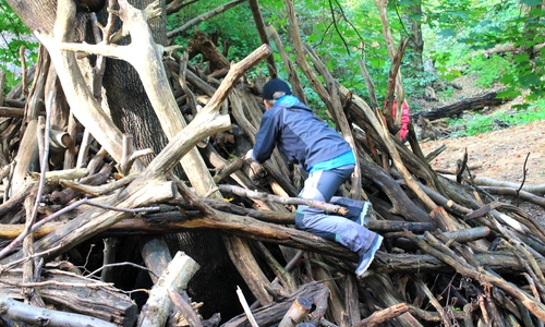 Abendteuer Wald für Kinder. Foto: Stadt Wolfenbüttel