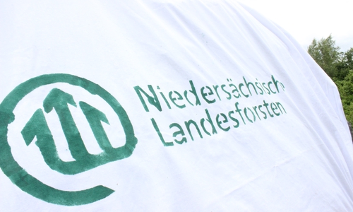 Die Landesforsten erhalten einen neuen Dezernatsleiterö

Foto: Anke Donner