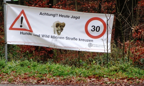 Die Landesforsten bitten Autofahrer mit besonderer Aufmerksamkeit zu fahren und auf Wild und Jagdhunde zu achten. Foto: Niedersächsische Landesforsten