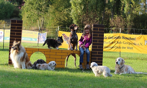 Rasse-Jagd-Gebrauchshunde-Verband Gruppe Wolfenbüttel-Salzgitter. Foto: privat