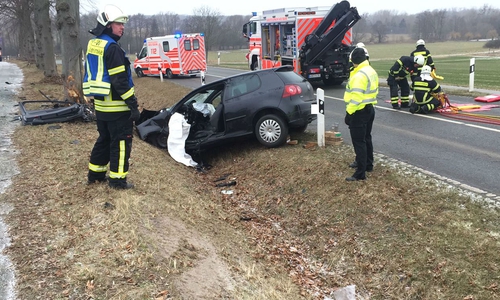Die Fahrerin kam aus bisher ungeklärter Ursache von der Fahrbahn ab. Foto: Bernd Dukiewitz