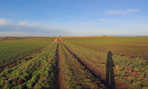 Der Rat der Gemeinde Denkte hat sich aufgrund der großen Nachfrage bereits Gedanken über weitere bebaubare Flächen gemacht. Foto: Anja Steinke