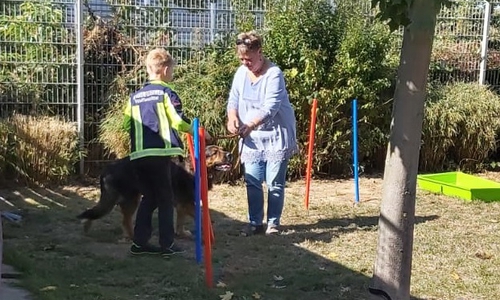 Wie führe ich einen Hund an der Leine? Hier auf dem Foto wartet die fünfjährige Hündin Mara, ein Leonberger Mischling, auf ihren Einsatz. Am Tierheim war ein kleiner Parcours aufgebaut, durch den die Nachwuchs-Feuerwehrleute mit den Hunden hindurchgehen mussten. Unterstützung bekamen sie dabei fachkundig von Helfern aus dem Tierheim.
Foto: Feuerwehr Wolfenbüttel