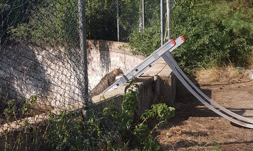 Pressestelle der Freiwilligen Feuerwehr der Samtgemeinde Meinersen/Schaffhauser