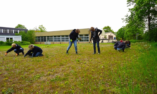Schüler und Eltern packten tatkraftig an. Foto: THG