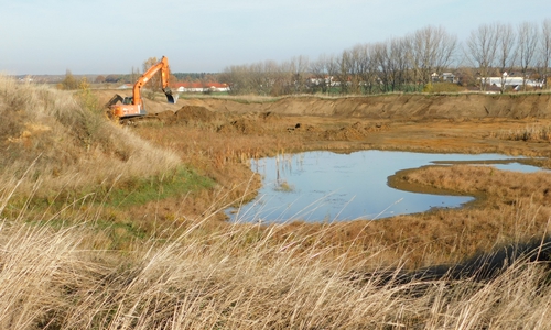 Mit dem Bagger werden Renaturierungsarbeiten durchgeführt. Foto: Landkreis Wolfenbüttel