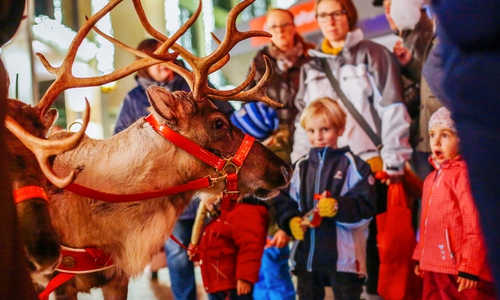 Rudolph das Rentier auf dem Weihnachtsmarkt in Wolfsburg. Fotos: WMG; Janina Snatzke