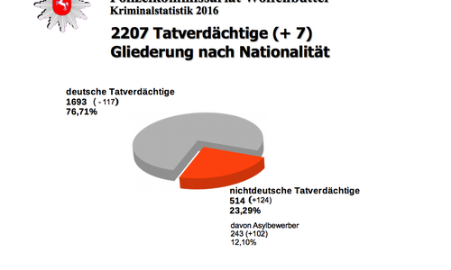 Laut Kriminalstatistik der Polizei Wolfenbüttel waren 23 Prozent der Tatverdächtigen Ausländer. Foto: Polizei Wolfenbüttel 