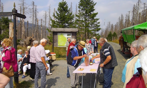 Mit dem SovD ging es auf den Brocken. Foto: SovD