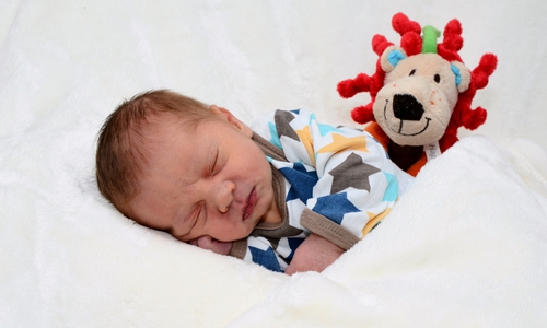 Willkommen: Linus Henrik Human Foto: Babysmile24.de