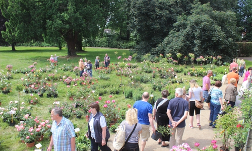Der Gartenzauber im Park zieht auch in diesem Jahr unzählige Besucher an. Fotos: Anke Donner 