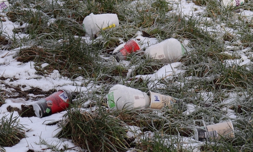 Am 9. März soll im Landkreis Gifhorn ordentlich aufgeräumt werden. Symbolbild: Julia Seidel