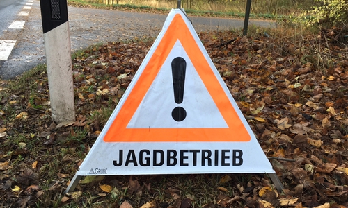 Symbolfoto.